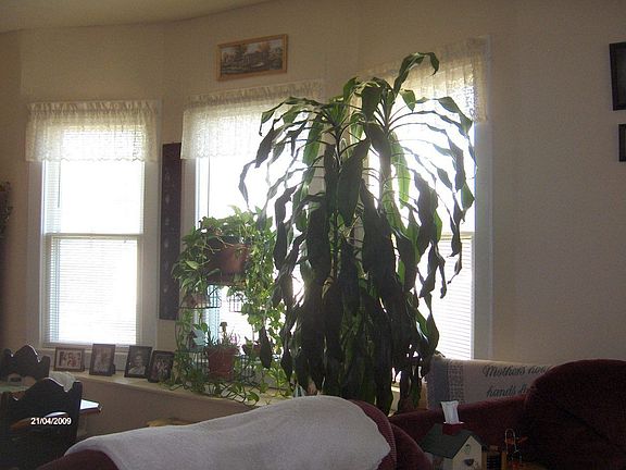4th image of 502 N 7th St