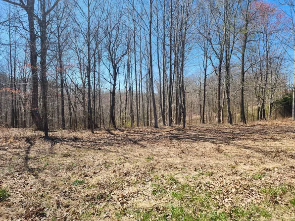 1244 Bryant Perry Rd, Bethpage, TN 37022