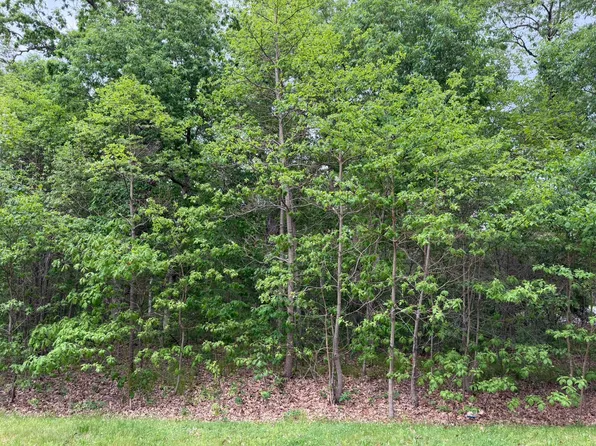 Vacant Lot 565-E, Demotte, IN 46310