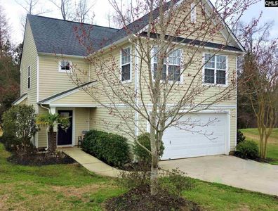 86 Crossfox Ct, Chapin, SC, 29036
