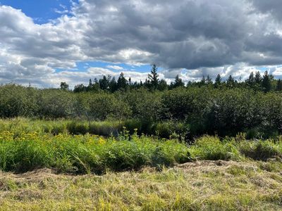 N8575 Skanawan Lake Rd, Irma, WI, 54442