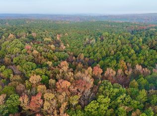 0 Dennis Creek Rd, Talbotton, GA 31827