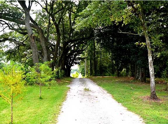 4th image of 9025 Dauphin Island Pkwy