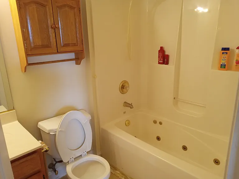 265 Bronze Leaf Dr — Photo 5