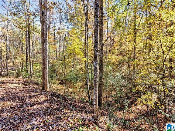 3rd image of 0 Hammock Rd #0