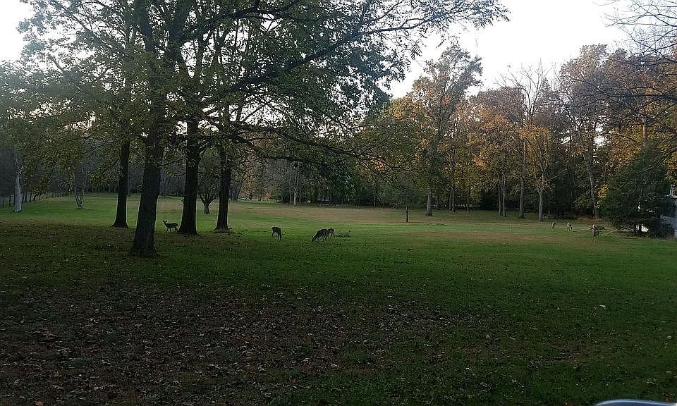 2nd image of 6261 Woodlawn Dr