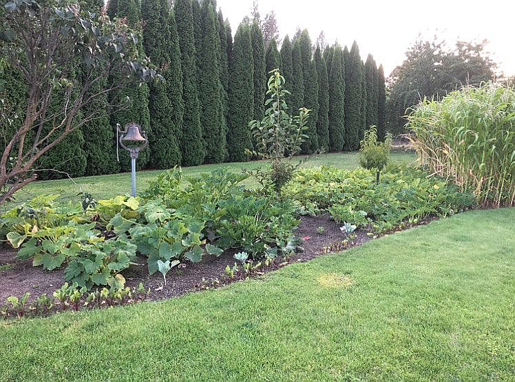 Big Garden 2020