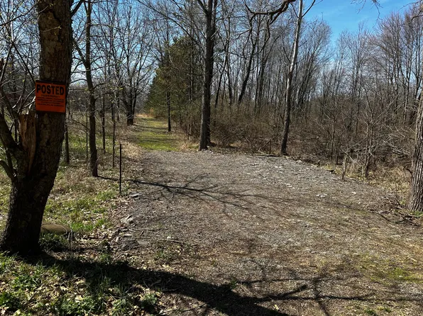 0 Robbins Rd, Springport, MI 49284