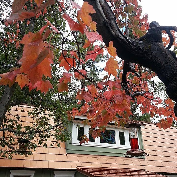 2nd image of 2370 Fir Dr