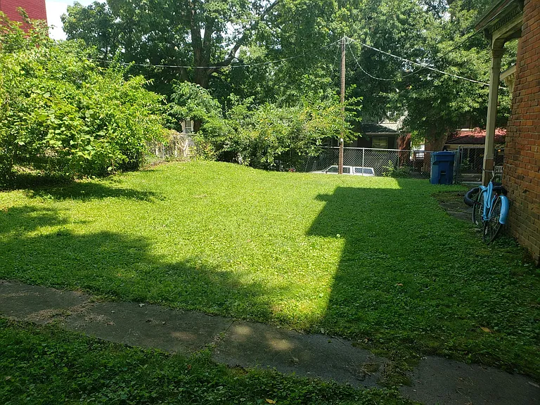 Large backyard