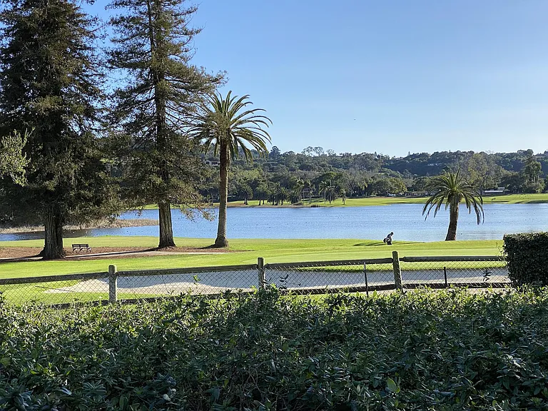 375 Las Palmas Dr — Photo 24
