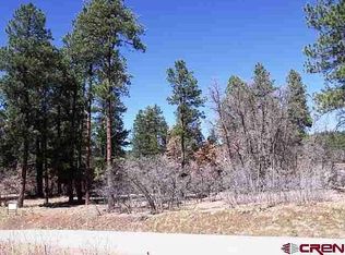 47 Needle Creek Ct, Durango, CO 81301