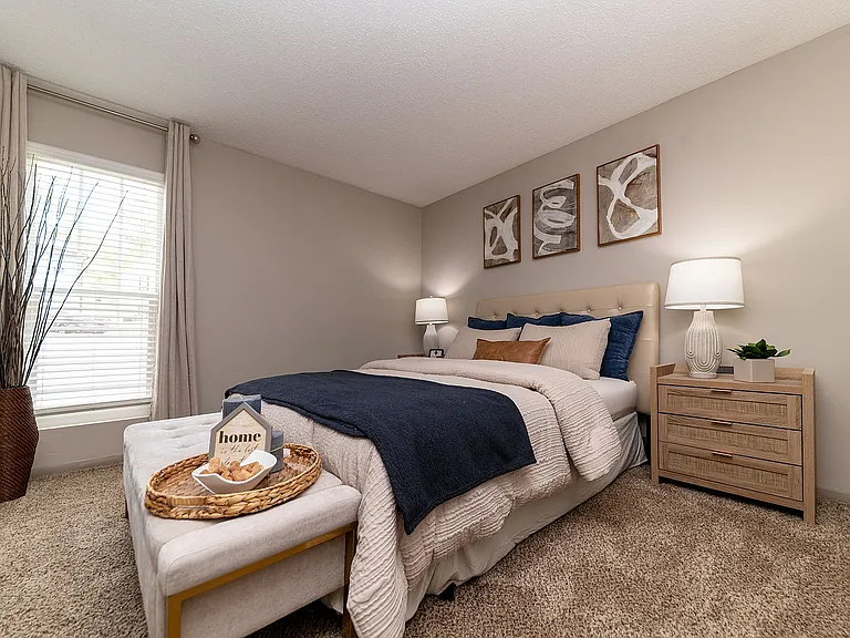 Cozy bedroom with carpet
