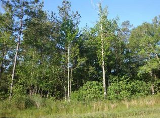 4910 Pine Wood Meadows Ln, Spring, TX 77386