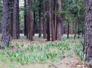 897 Gold Ridge Dr, Graeagle, CA 96103