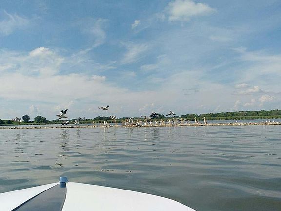 3rd image of N4909 Lake Dr