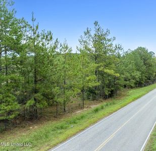 Indian Hill Rd, State Line, MS, 39362