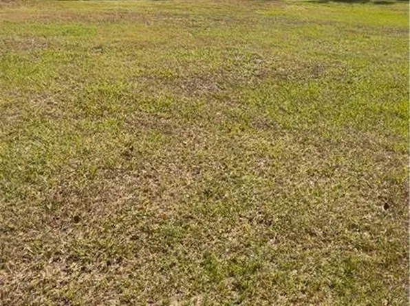 Coconut Cove Pl, Valrico, FL 33596