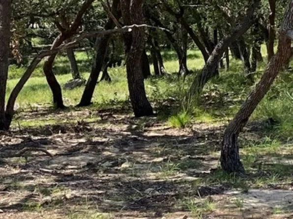 726 Post Oak Ridge Way LOT 121, Bulverde, TX 78163
