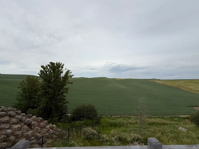 402 E Valleyview Ave — Photo 11