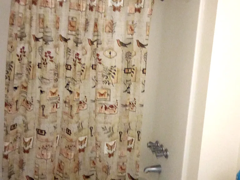 101 Hagar Ct — Photo 6