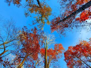 0 Orange Springs Rd, Spotsylvania, VA 22551