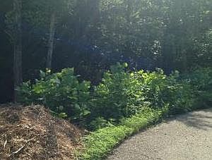 2nd image of 7395 E Pine Needle Ln