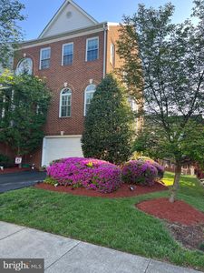 5510 Jowett Ct, Alexandria, VA, 22315
