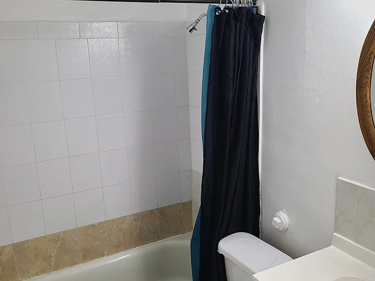 Bathroom tub and shower