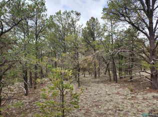 El Caso Rd, Quemado, NM 87829