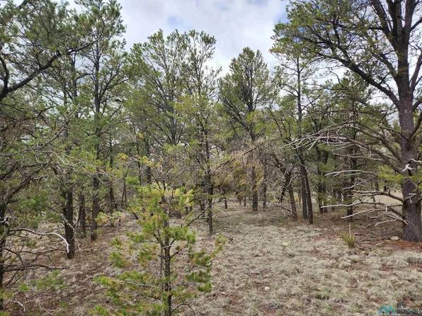 El Caso Rd, Quemado, NM 87829