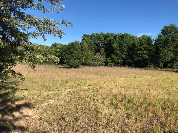 LOT 9J County Road 448, Lindale, TX 75771