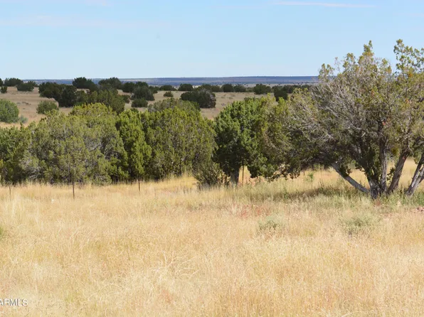 0 Well 4 Road #-, Heber, AZ 85928