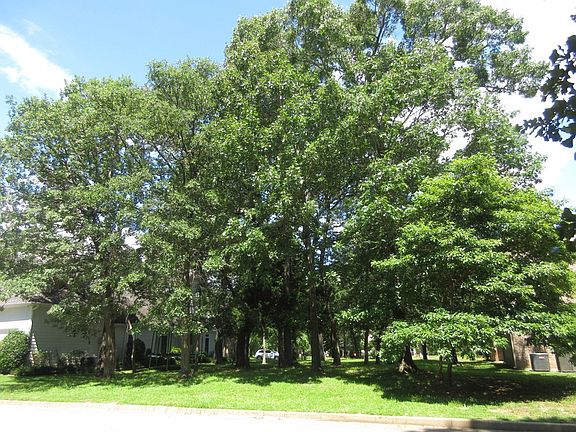 2nd image of 153 Eagles Bluff Blvd