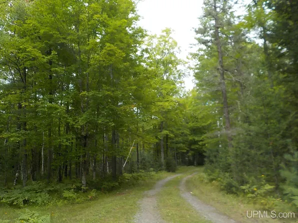 PARCEL Tirapelli Ln #B, Crystal Falls, MI 49920
