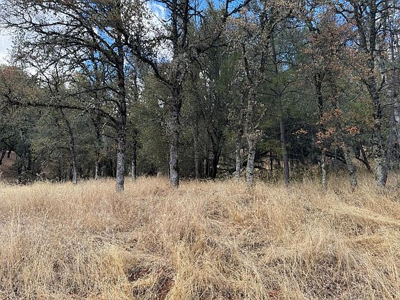 3rd image of 17022 Brewer Rd