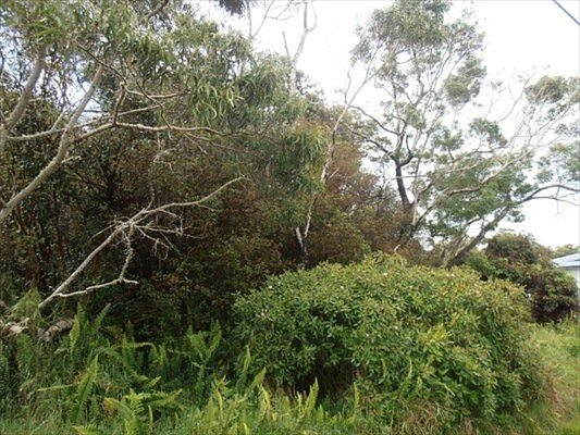 3rd image of Opalipali St Lot 9