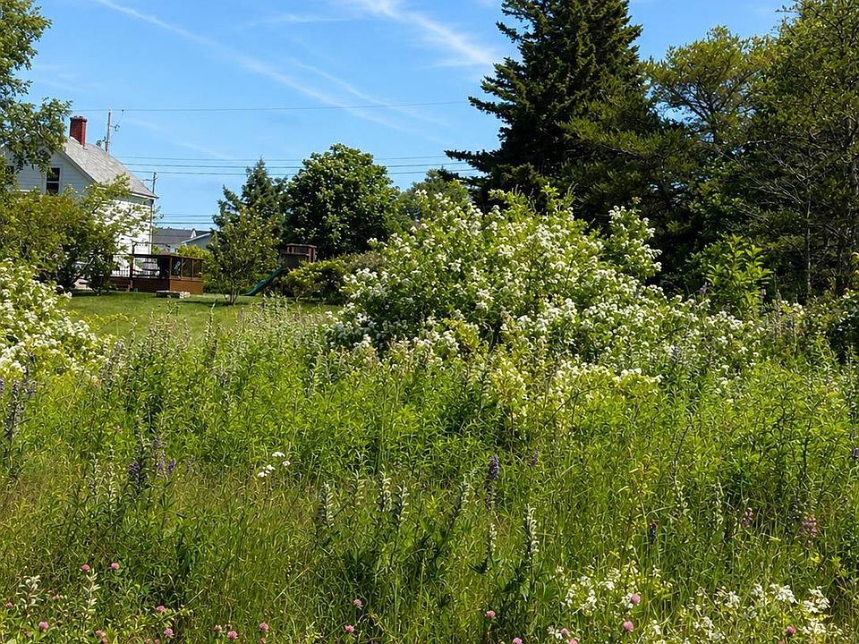 2nd image of Morrison St Lot 2026-1