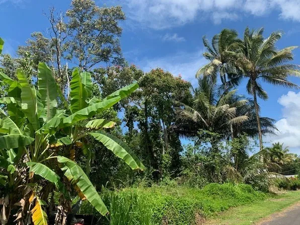 15-2687 N Iao St Lot 11, Pahoa, HI 96778