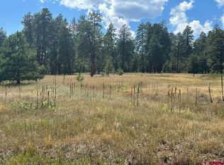 300 Hills Cir, Pagosa Springs, CO 81147