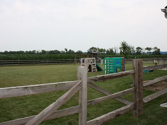 View of large backyard