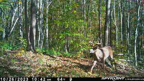 1st image of 0 Old Hwy Lot 1