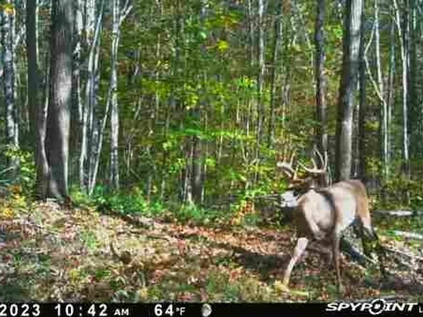 0 Old Hwy Lot 1, Dover, TN 37058