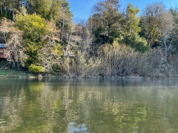 Tenmile Lake Lakeside Real Estate 8 Homes For Sale Zillow