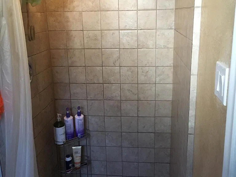 Master Bath Shower