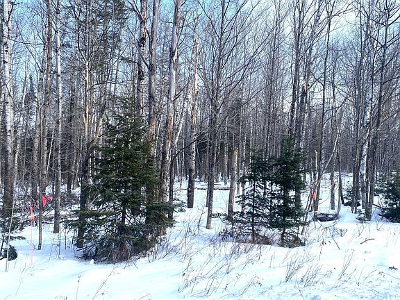 4th image of 47 Greenville Road Lot 2