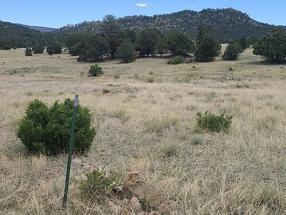 2nd image of 204 Chocktaw Dr