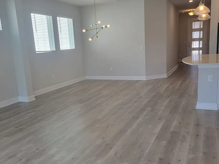 5534 Spanish Moss Cv — Photo 13