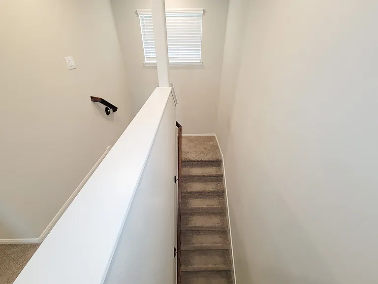 10423 Astor Points Trl — Photo 28