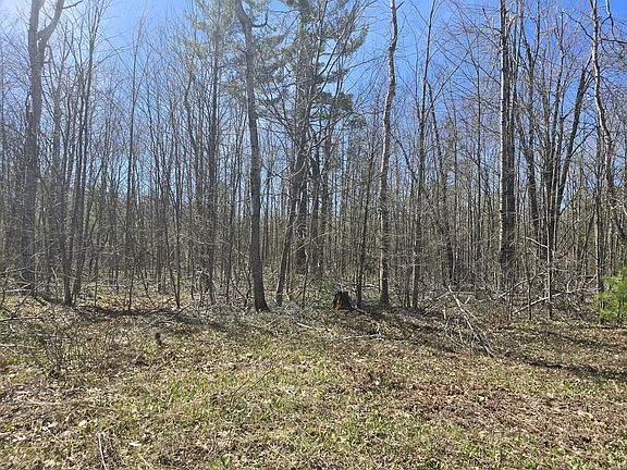 5th image of Iroquois Trl